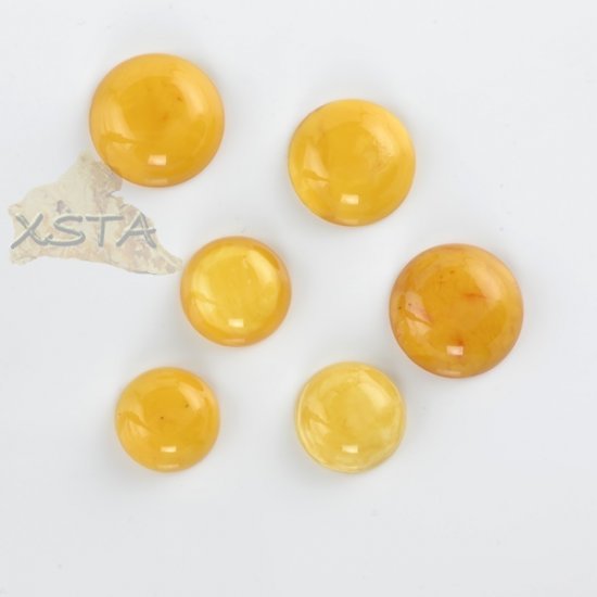 Wholesale amber cabochons 6 units